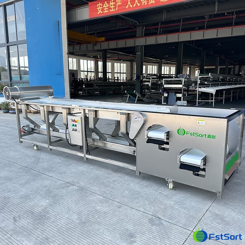 images/1731051824787blueberry sorter.jpg